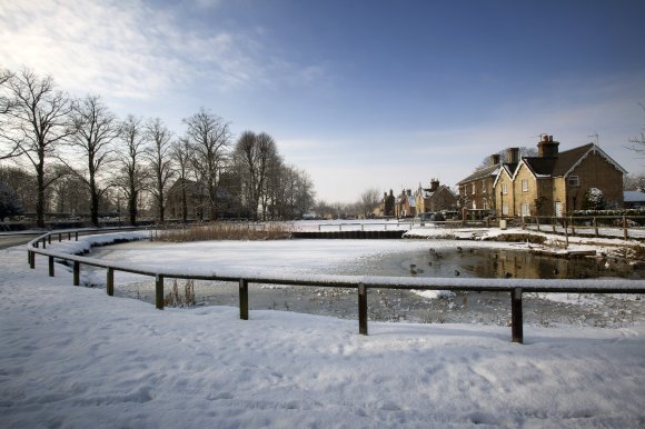 Pond on The Green