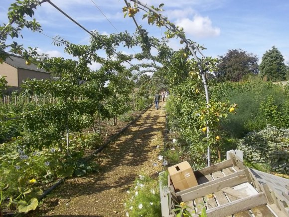 Ramsey Abbey Walled Garden